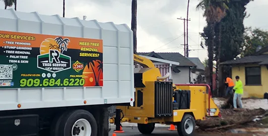 Professional tree service truck and workers trimming residential trees