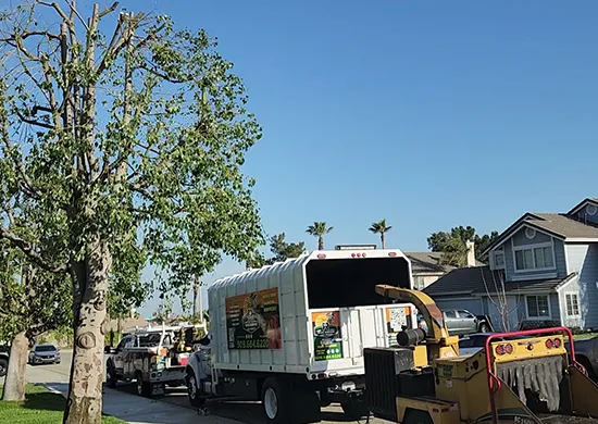 Tree clearing services with trucks and equipment in residential neighborhood.